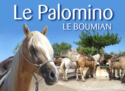 Le Palomino Le Boumian